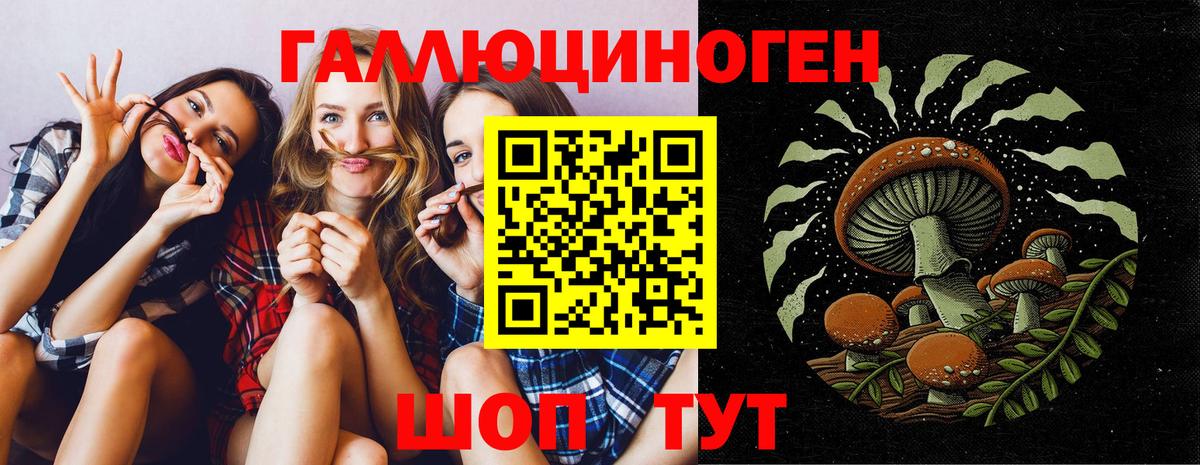 Галлюциногенные грибы Psilocybine cubensis  Вход с VPN  Псилоцибиновые грибы прущие грибы  Приморско-Ахтарск 